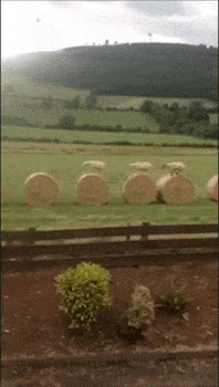 Acid GIFs, July 11 (25 gifs) Acid GIFs, July 11 (25 gifs)