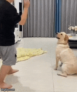 Acid GIFs, July 11 (25 gifs) Acid GIFs, July 11 (25 gifs)