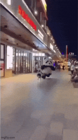 Acid GIFs, July 11 (25 gifs) Acid GIFs, July 11 (25 gifs)