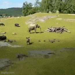 Acid GIFs, July 11 (25 gifs) Acid GIFs, July 11 (25 gifs)
