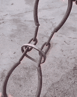 Acid GIFs, July 11 (25 gifs) Acid GIFs, July 11 (25 gifs)