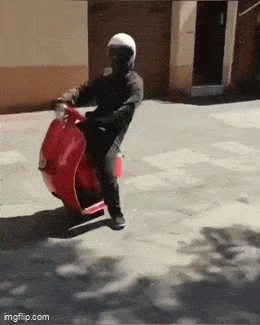 Acid GIFs, July 11 (25 gifs) Acid GIFs, July 11 (25 gifs)