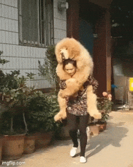 Acid GIFs, July 11 (25 gifs) Acid GIFs, July 11 (25 gifs)