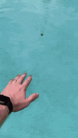 Acid GIFs, July 11 (25 gifs) Acid GIFs, July 11 (25 gifs)