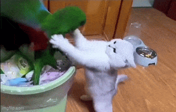 Acid GIFs, July 11 (25 gifs) Acid GIFs, July 11 (25 gifs)
