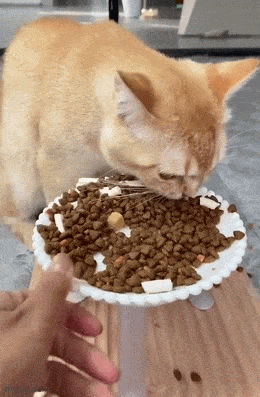 Acid GIFs, July 11 (25 gifs) Acid GIFs, July 11 (25 gifs)