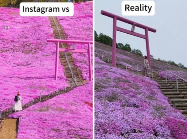 Social Media Against Reality (28 pics)