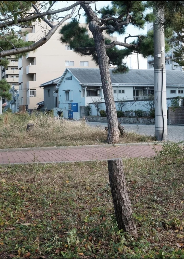 Optical Illusions (15 pics)