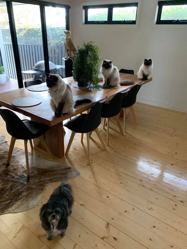 Glitches In The Matrix (16 pics)