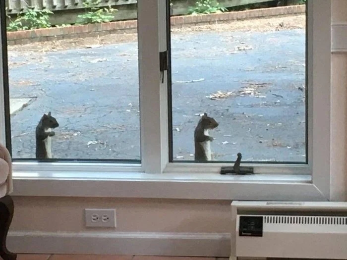 Glitches In The Matrix (16 pics)