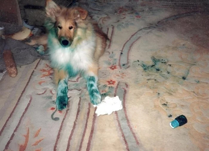 Bad Days Happen (23 pics)