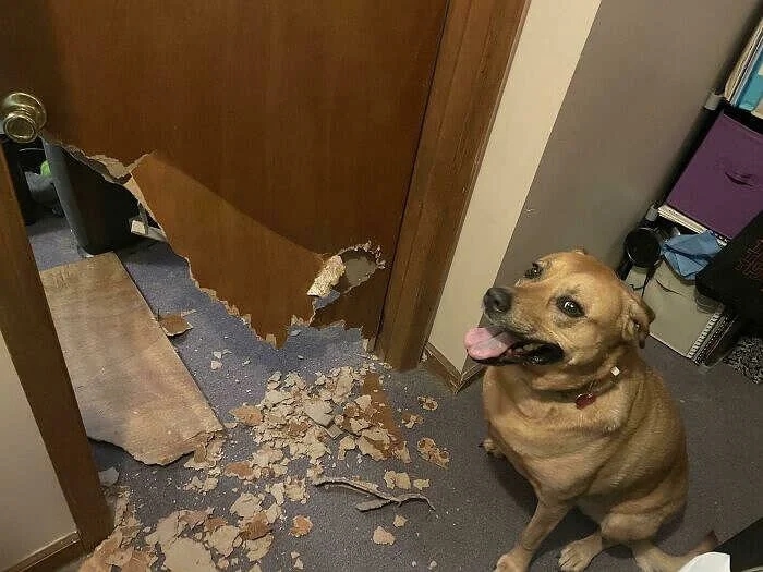 Bad Days Happen (23 pics)