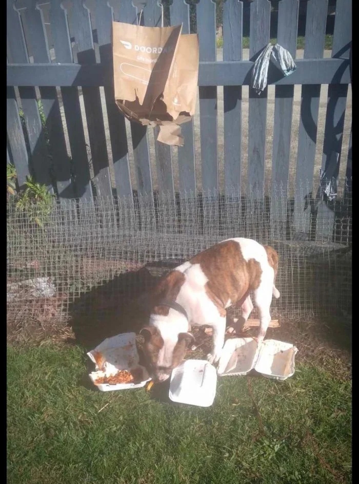 Bad Days Happen (23 pics)