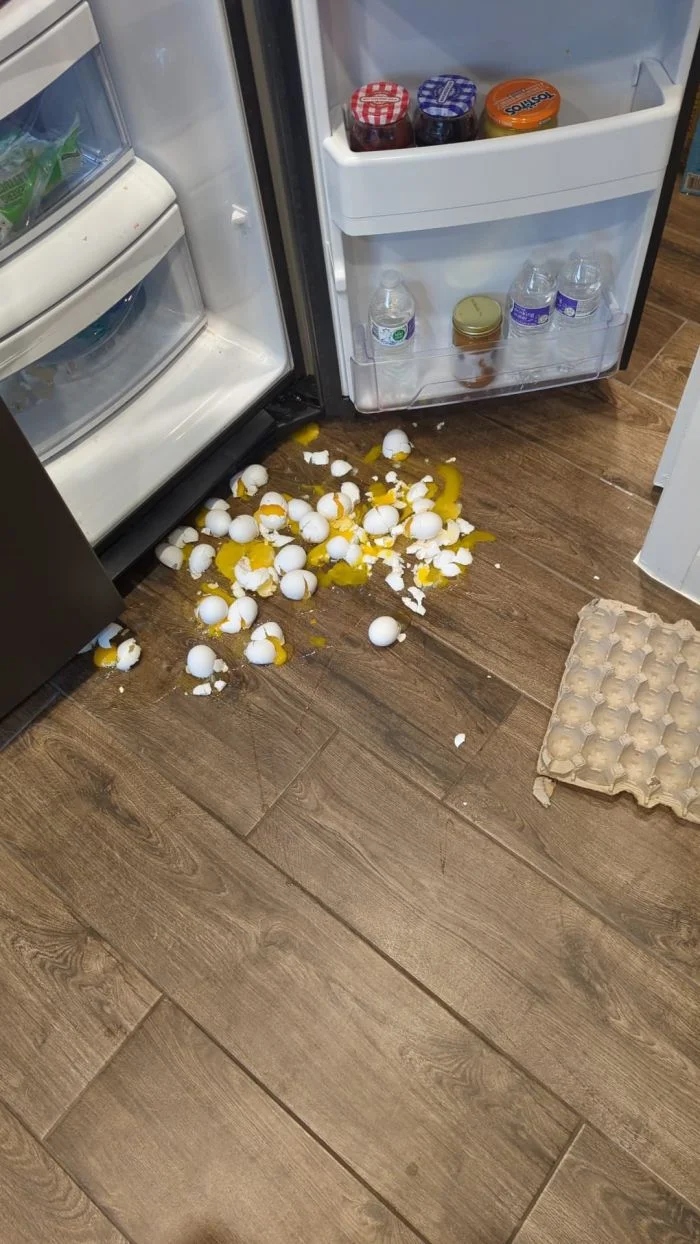 Bad Days Happen (23 pics)