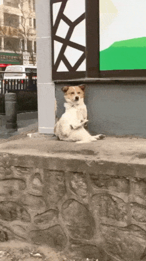 Acid GIFs, July 14 (25 gifs) Acid GIFs, July 14 (25 gifs)