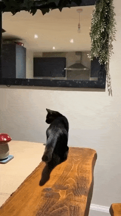 Acid GIFs, July 14 (25 gifs) Acid GIFs, July 14 (25 gifs)