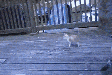 Acid GIFs, July 14 (25 gifs) Acid GIFs, July 14 (25 gifs)
