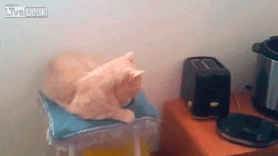 Acid GIFs, July 14 (25 gifs) Acid GIFs, July 14 (25 gifs)