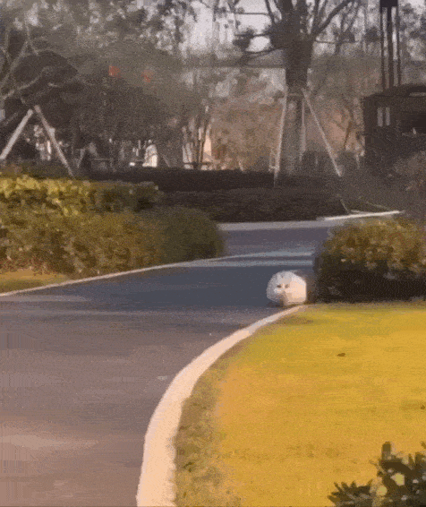 Acid GIFs, July 14 (25 gifs)