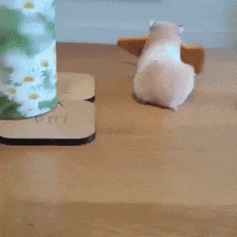 Acid GIFs, July 14 (25 gifs) Acid GIFs, July 14 (25 gifs)