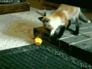 Acid GIFs, July 14 (25 gifs) Acid GIFs, July 14 (25 gifs)