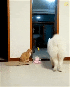 Acid GIFs, July 14 (25 gifs) Acid GIFs, July 14 (25 gifs)