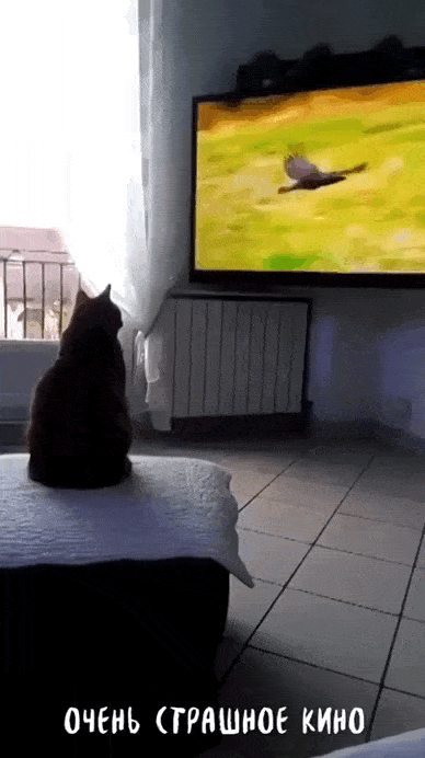 Acid GIFs, July 14 (25 gifs)