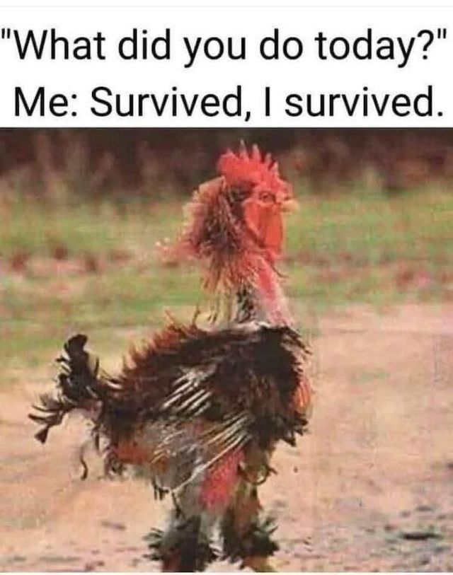 Memes For Animal Lovers (23 pics)