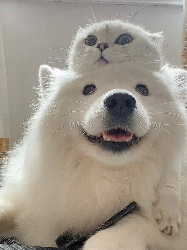 Daily Pictures. Part 2 (54 pics)