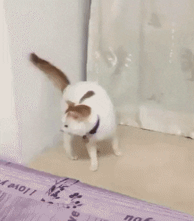 Acid GIFs, July 15 (25 gifs) Acid GIFs, July 15 (25 gifs)