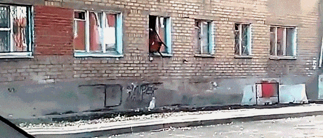 Acid GIFs, July 15 (25 gifs) Acid GIFs, July 15 (25 gifs)