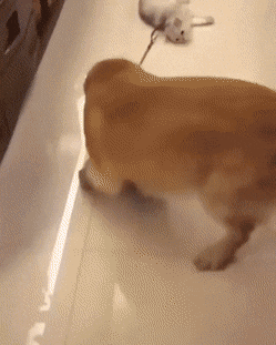Acid GIFs, July 15 (25 gifs) Acid GIFs, July 15 (25 gifs)