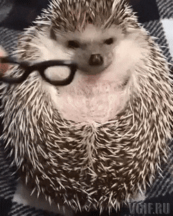 Acid GIFs, July 15 (25 gifs) Acid GIFs, July 15 (25 gifs)