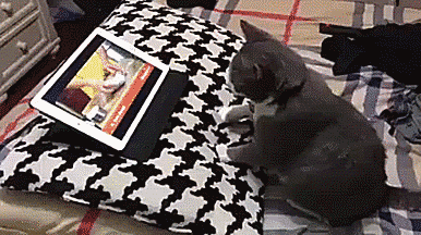 Acid GIFs, July 15 (25 gifs) Acid GIFs, July 15 (25 gifs)
