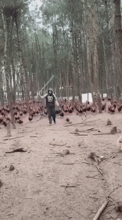 Acid GIFs, July 15 (25 gifs) Acid GIFs, July 15 (25 gifs)