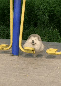 Acid GIFs, July 15 (25 gifs) Acid GIFs, July 15 (25 gifs)