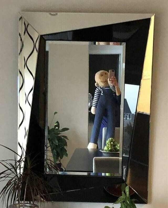 They Are Trying To Sell A Mirror (23 pics)