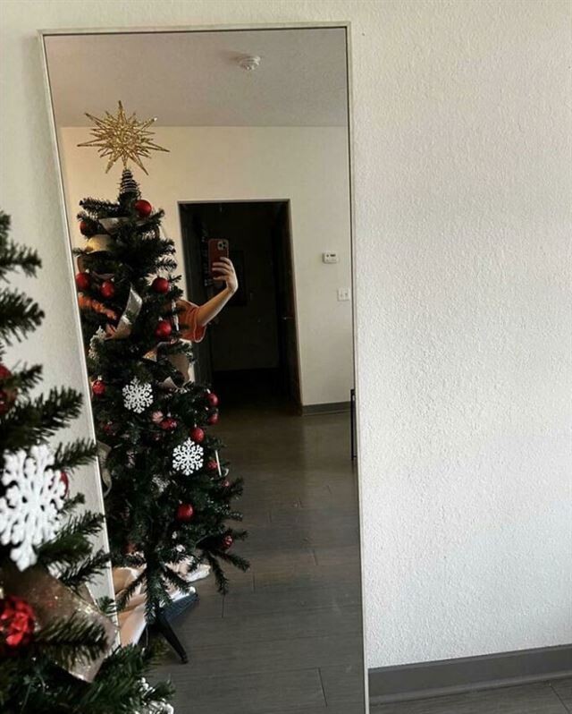 They Are Trying To Sell A Mirror (23 pics)