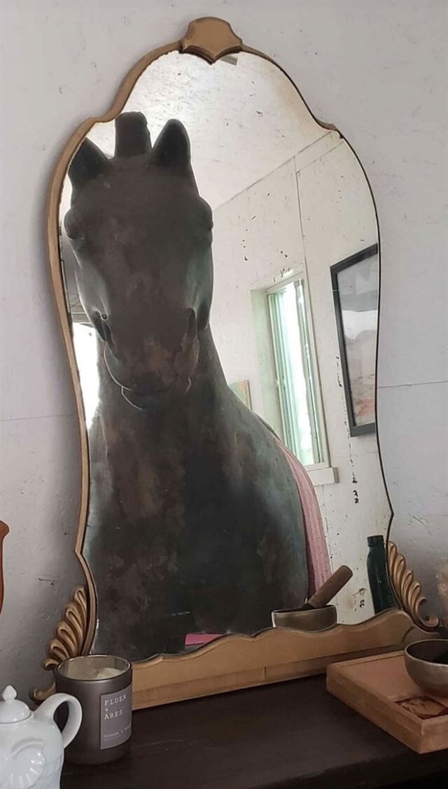 They Are Trying To Sell A Mirror (23 pics)