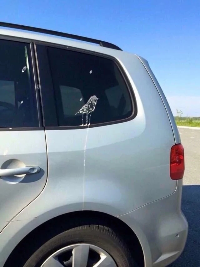 This Is Pareidolia (16 pics)