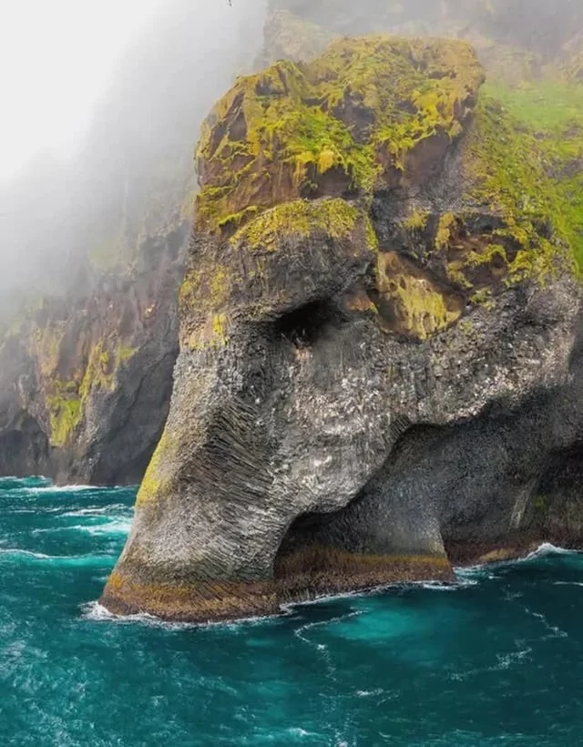 This Is Pareidolia (16 pics)