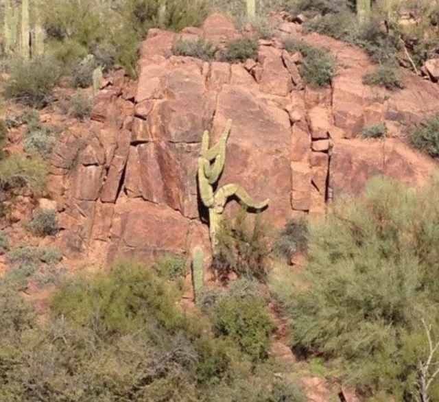 This Is Pareidolia (16 pics)