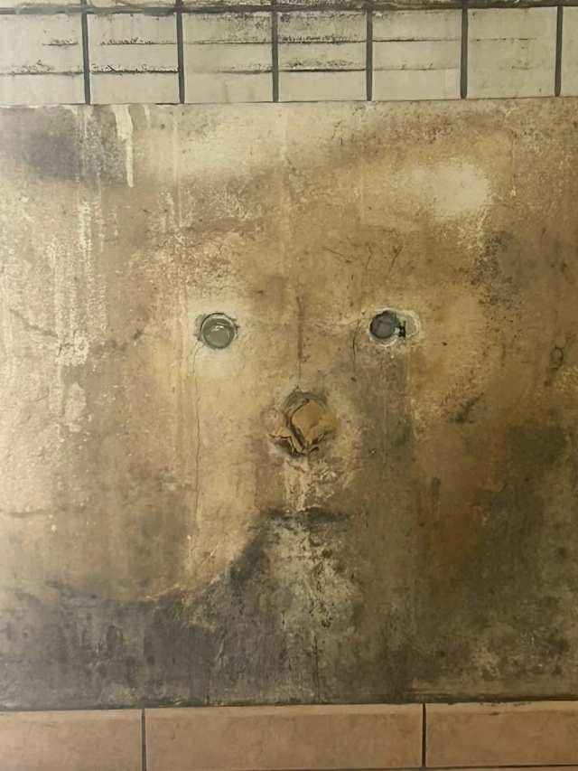 This Is Pareidolia (16 pics)