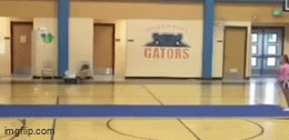 Acid GIFs, July 16 (25 gifs) Acid GIFs, July 16 (25 gifs)