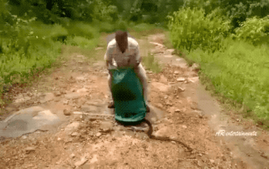 Acid GIFs, July 16 (25 gifs)