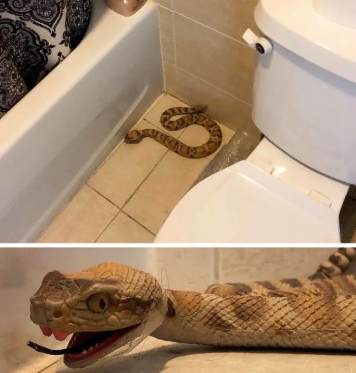 Annoying Situations (21 pics)