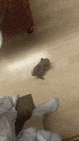 Acid GIFs, July 17 (25 gifs)
