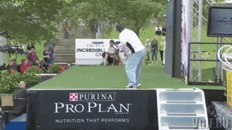 Acid GIFs, July 17 (25 gifs)