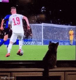 Acid GIFs, July 17 (25 gifs)