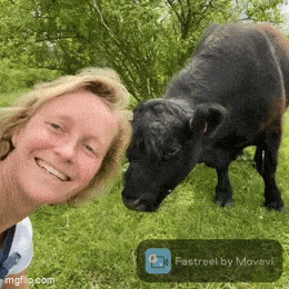 Acid GIFs, July 17 (25 gifs)